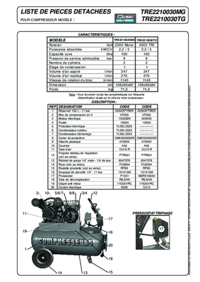Compresseurs, outils pneumatiques - Compresseurs - Compresseur monophasé 100 L 9 Bar 3 CV