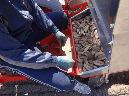Semis - Planteuses - Planteuse de pommes de terre F300L