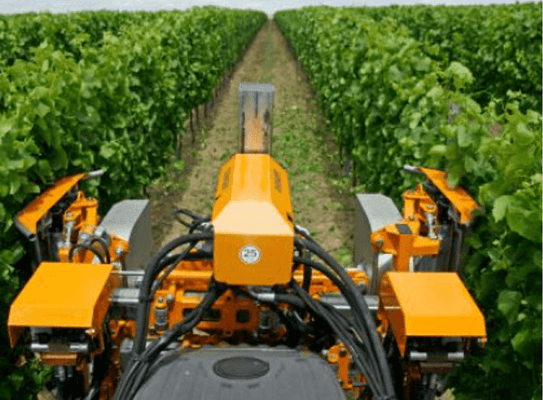 Entretien - Taille viti-arbo - Effeuilleuse EB490 BINGER