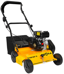 Herbes et entretien - Scarificateur - Scarificateur 38 16F