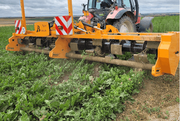 Entretien - Binage, désherbage - Arracheuse mauvaises herbes TIG'AIR