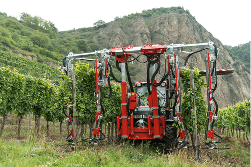 Entretien - Rogneuses viti-arbo - Rogneuse viti-arbo