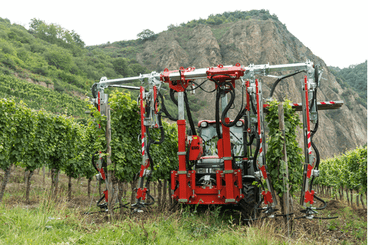 Entretien - Rogneuses viti-arbo - Rogneuse viti-arbo