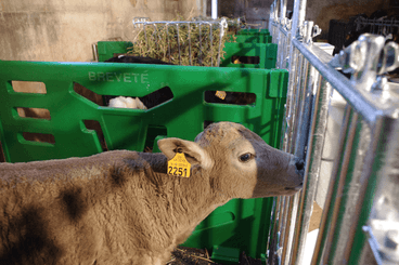 Matériel d'élevage - Matériel tubulaire - Case à veau