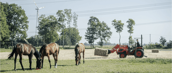 Transport - Tracteurs Diesel - TRACTEUR CK2630 Arceau